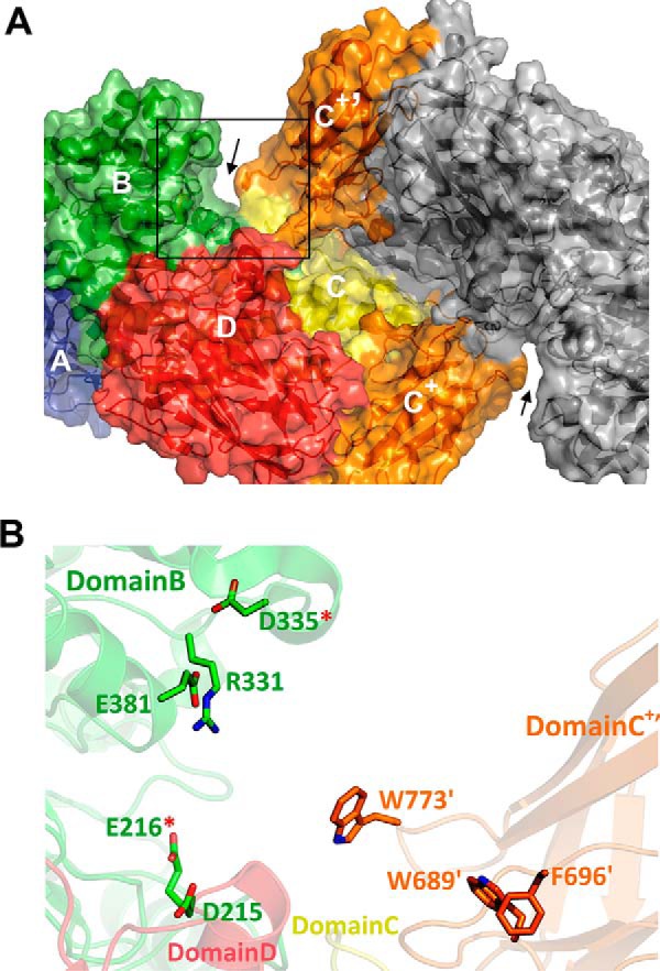 FIGURE 5.