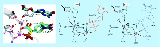 Figure 12. 