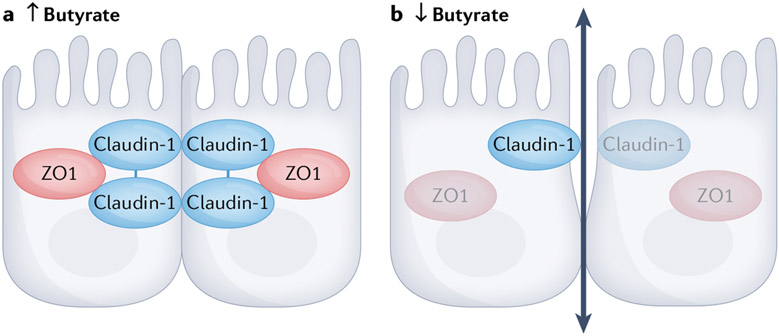 Fig. 2 ∣