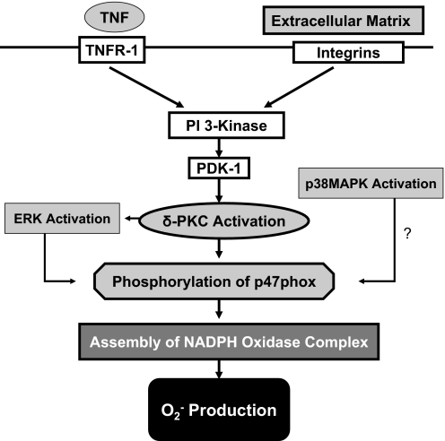 Figure 9.