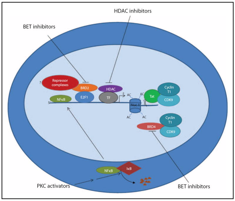 FIGURE 1