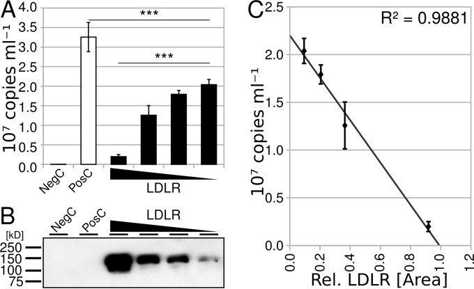 FIG 1