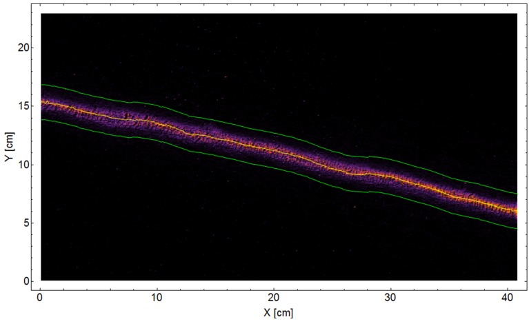 Figure 3—figure supplement 1.