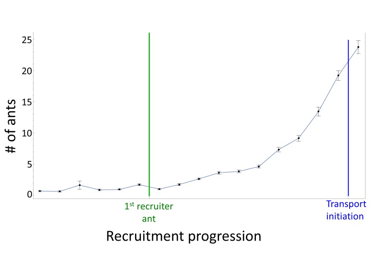 Figure 1—figure supplement 1.