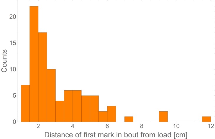 Figure 3—figure supplement 2.