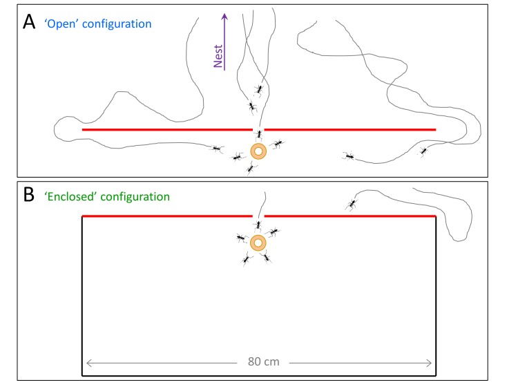 Figure 5—figure supplement 1.