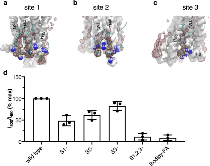 Fig. 2