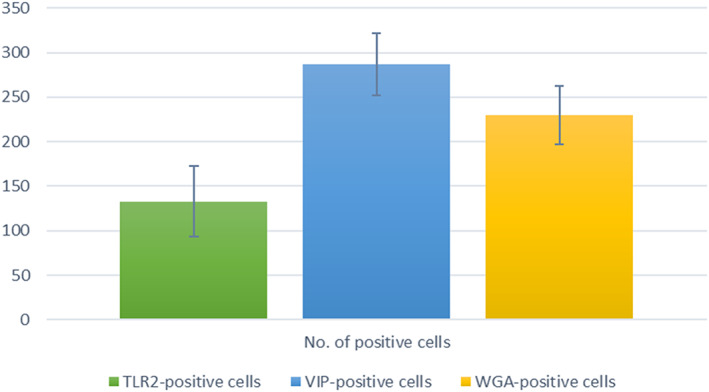 FIGURE 4