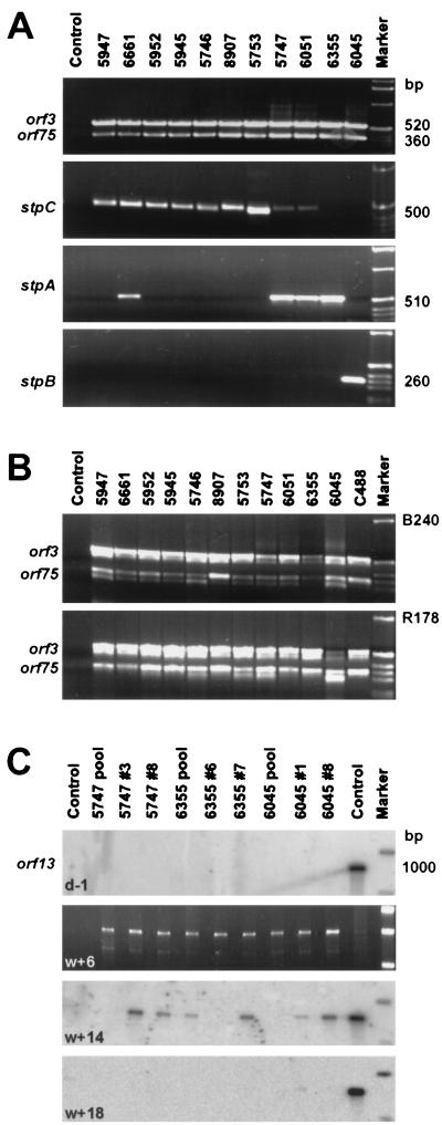 FIG. 1