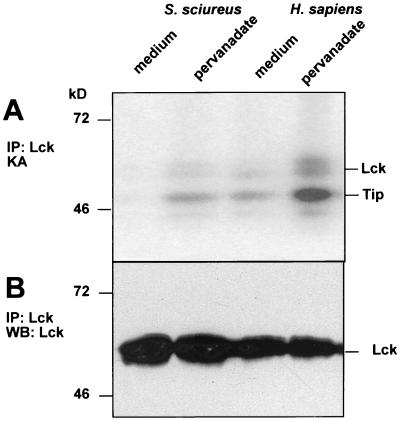 FIG. 7