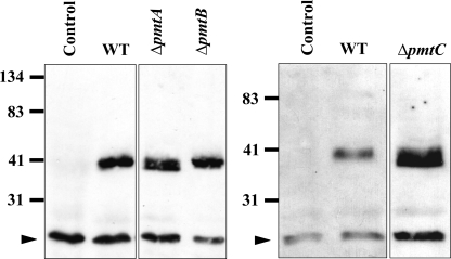 FIG. 9.