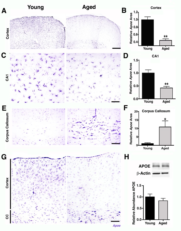 Fig 8