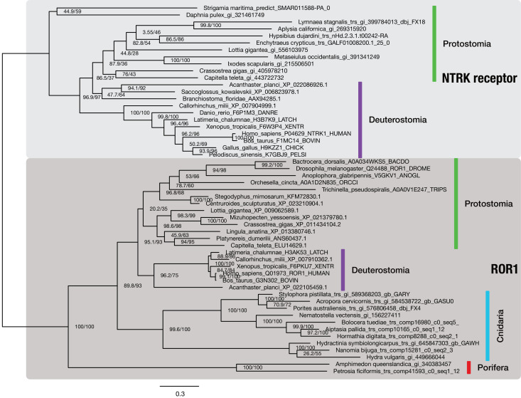 Figure 7—figure supplement 1.