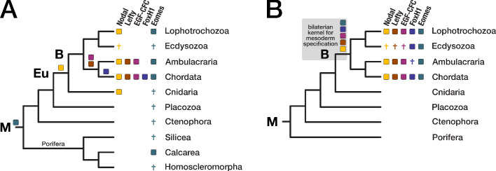 Figure 5.