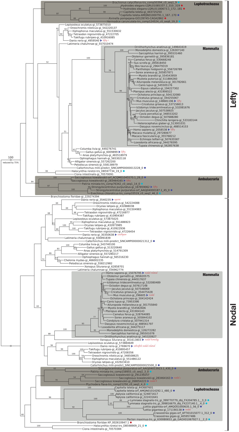 Figure 5—figure supplement 2.