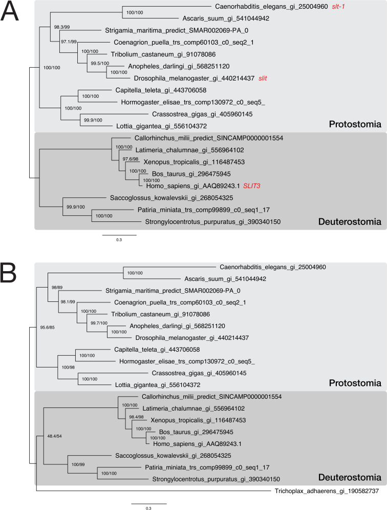 Figure 6—figure supplement 3.