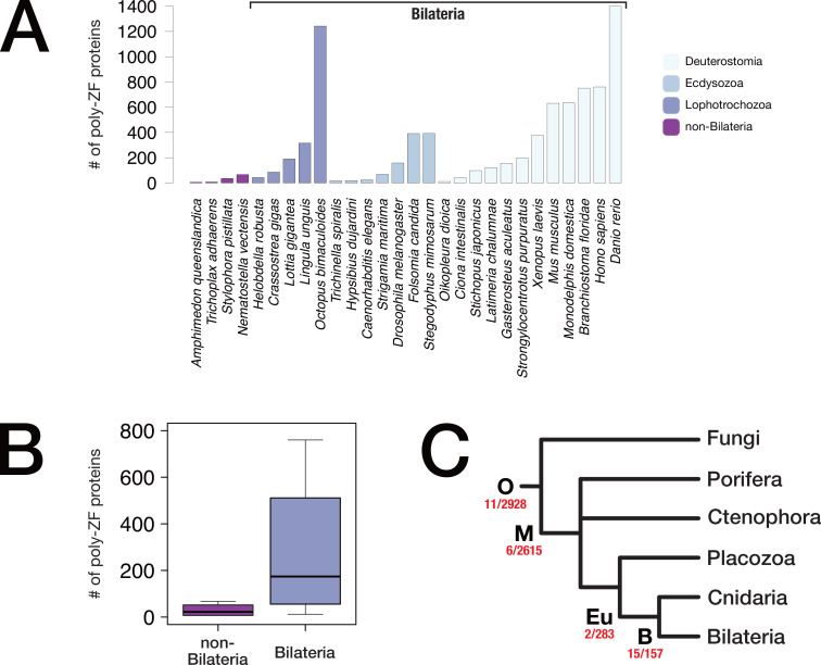 Figure 2—figure supplement 1.