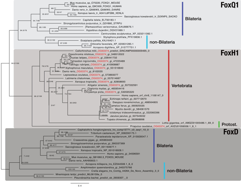 Figure 5—figure supplement 3.