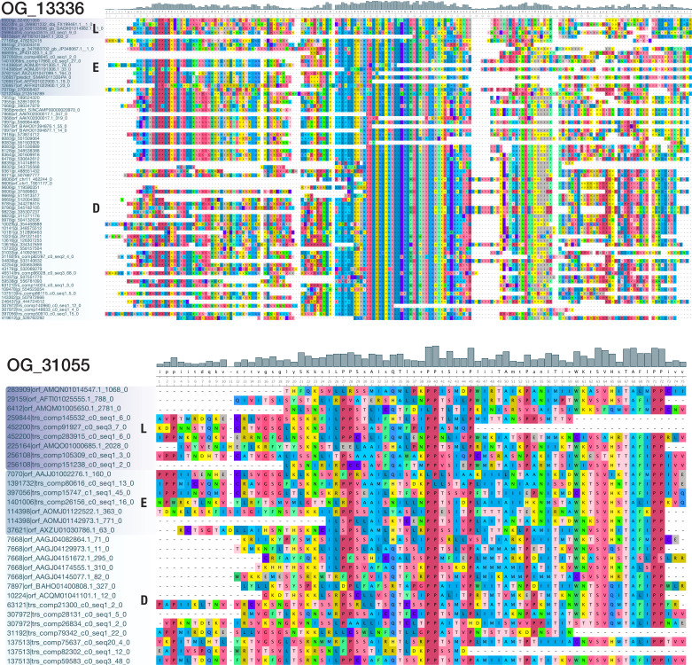 Figure 2—figure supplement 3.