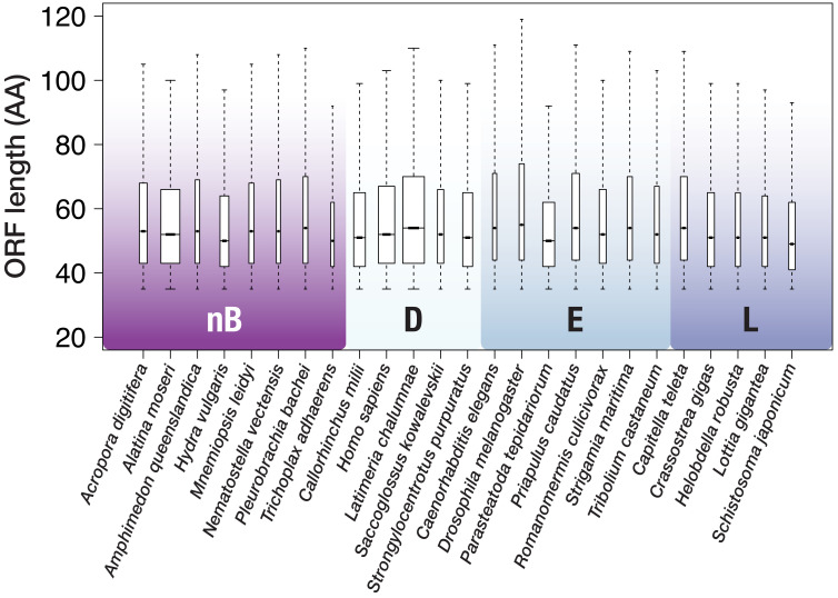 Figure 1—figure supplement 3.