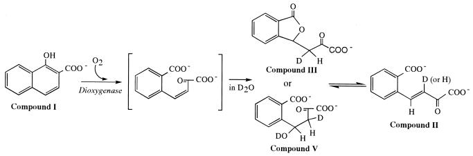 FIG. 7