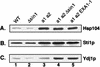 FIG. 6
