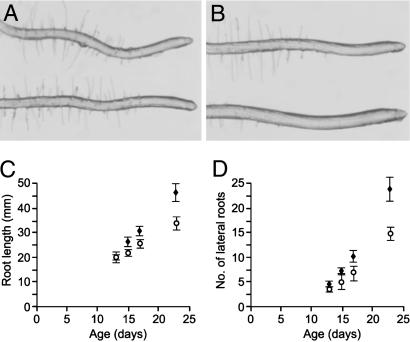 Fig 4.