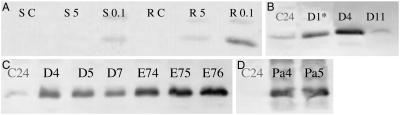 Fig 1.