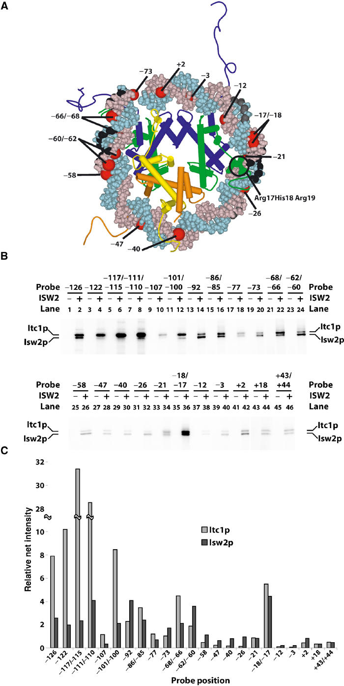 Figure 2