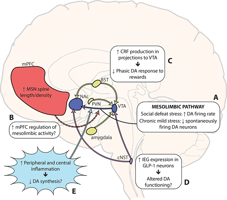 Figure 1, Key Figure.