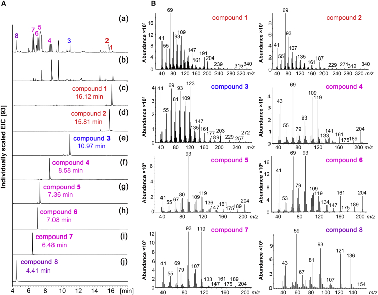 Figure 3