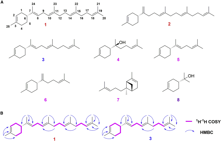 Figure 4