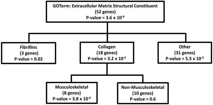 Figure 1.