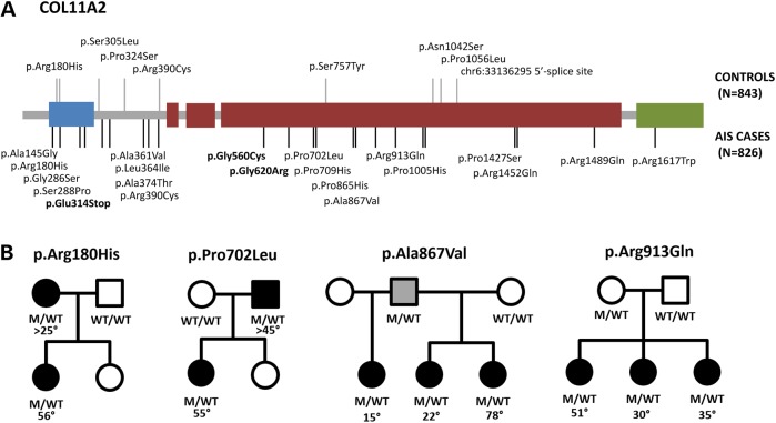 Figure 3.