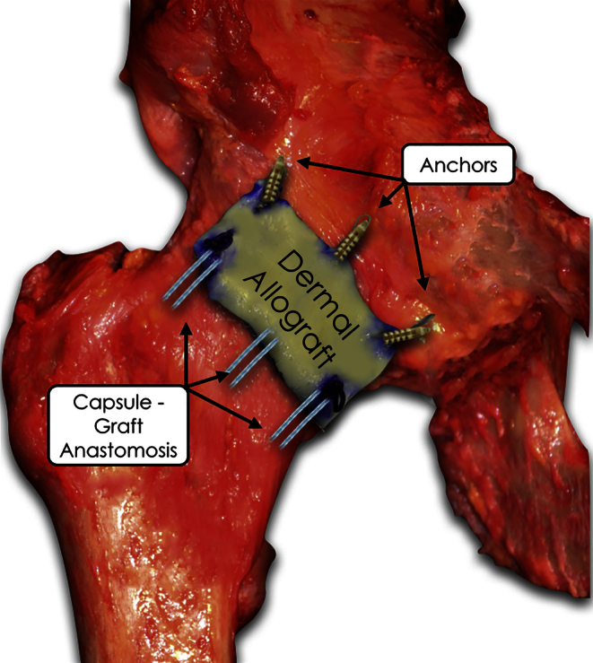 Fig 8