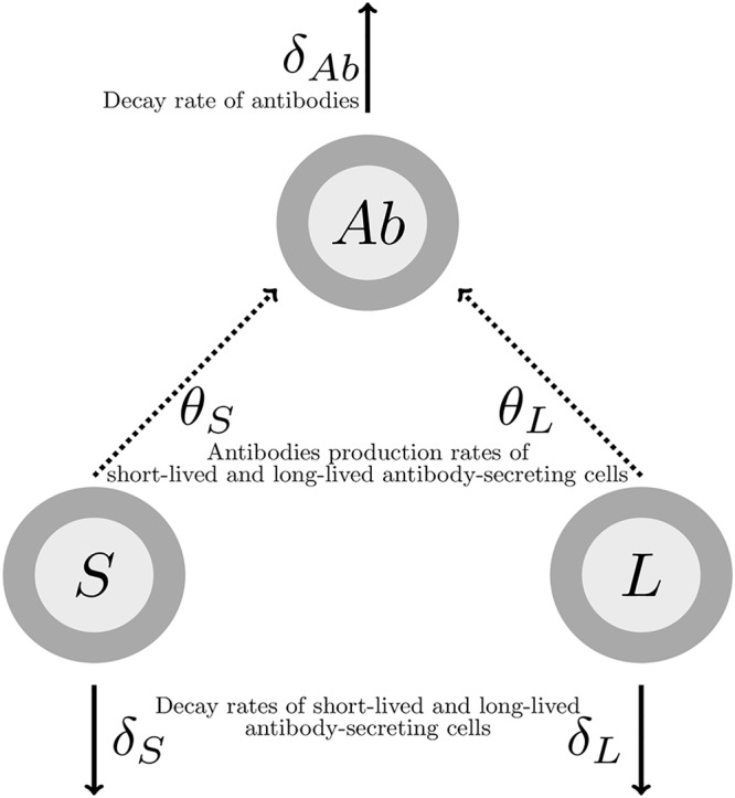 FIG 1