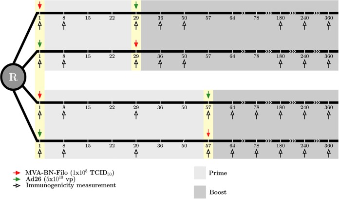 FIG 11