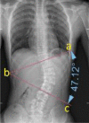 Figure1