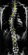 Figure4