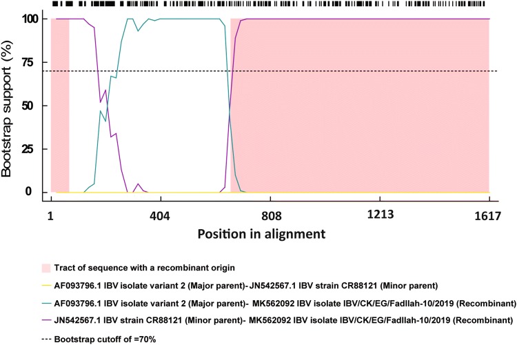 Fig. 2