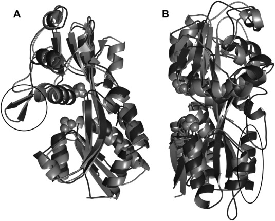 Figure 7