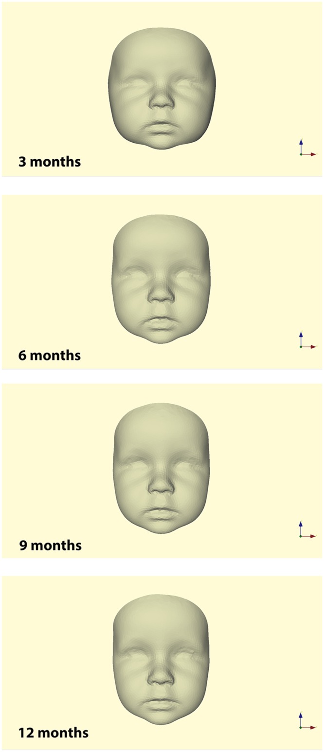 Fig 3