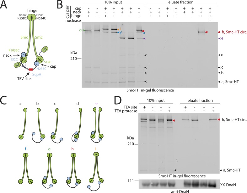 Figure 2.