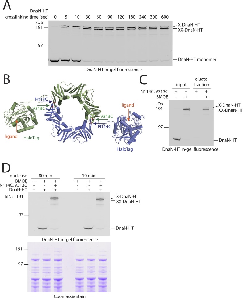 Figure 1—figure supplement 1.