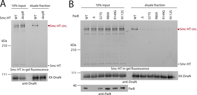 Figure 4.