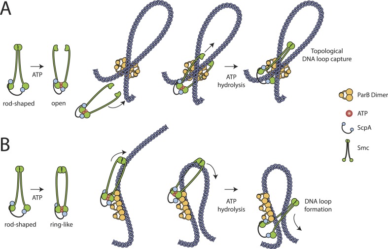 Figure 6.