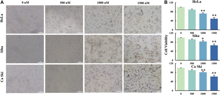 FIGURE 2