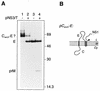 FIG. 7