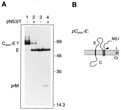 FIG. 7