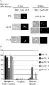 FIG. 9.